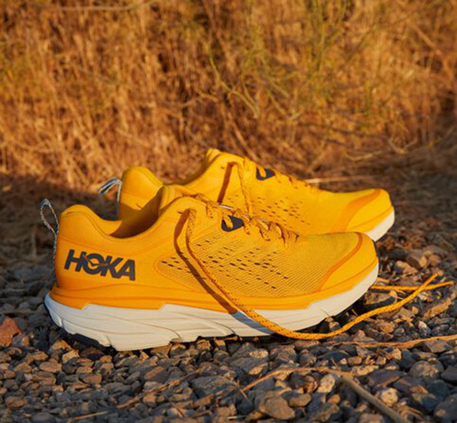 Hoka One One トレイルシューズ メンズ 黄色 - チャレンジャー ATR 6 - LM4218579